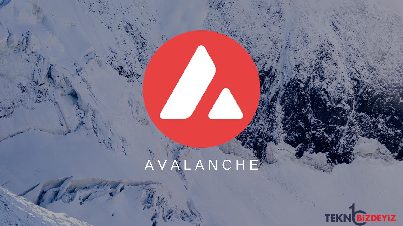 analitik firmasina nazaran avalanche avax ethereumu eth geride birakabilir PO1VFLgD