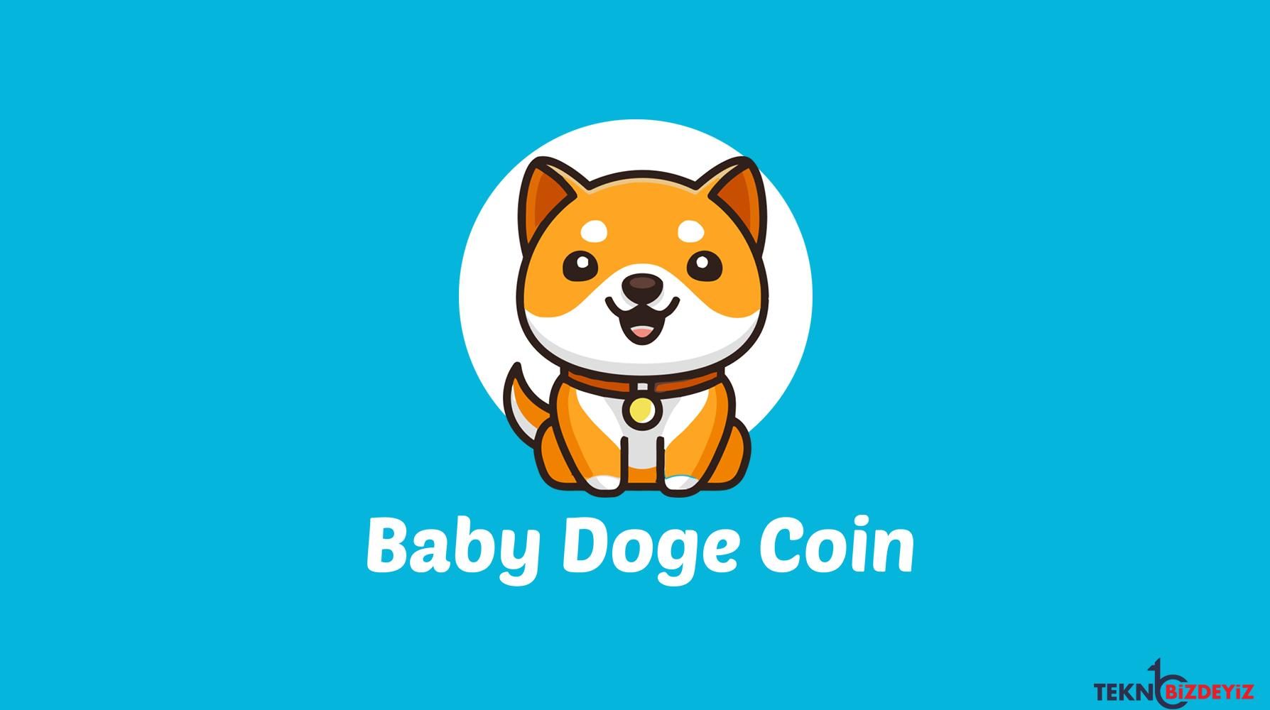 baby doge coinin babydoge nft koleksiyonu piyasaya suruldu Au472qQ9