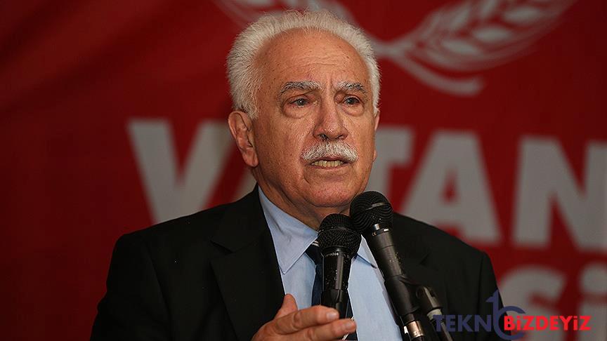 dogu perincek gezi aksiyonlarinda biz de variz gelsinler gucleri yetiyorsa benim de yakama yapissinlar QH3jXj44