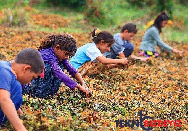 turkiyedeki cocuk nufusu cumhuriyet tarihinin en dusuk duzeyinde 6 15 yas en cok savas oyunu oynuyor 25 upVbWgmS