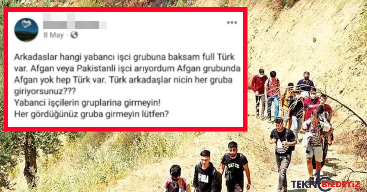 afgan ve pakistanli ucuz emekci arayan bir isletmecinin is arayan turklere soylediklerine inanamayacaksiniz RbqALKKv