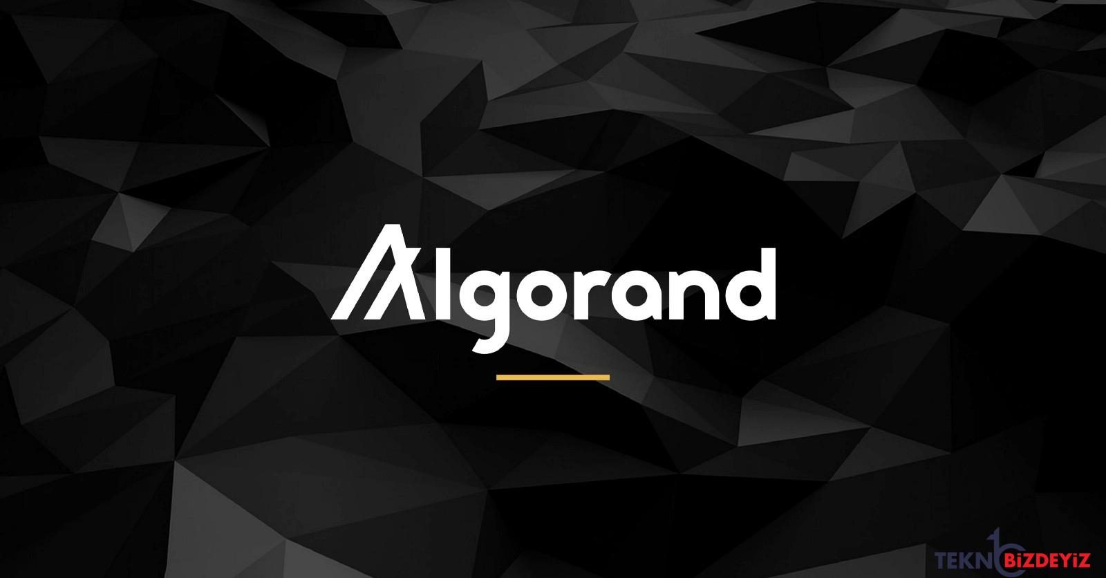 algorand algo fonlari rekor duzeyde giris goruyor nETMs2U9