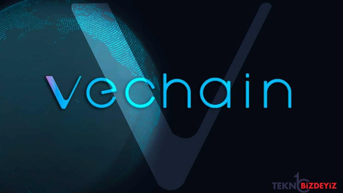 vechain vet vakfi 12 milyar dolarlik kripto para tutuyor 3FJKDVcz