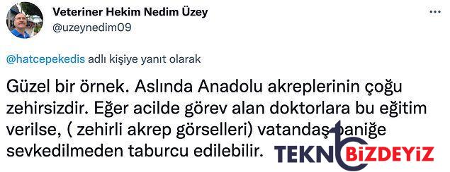 akrep sokan hastasinin akrebi yaninda getirmesini gulerek twitterda paylasan doktora reaksiyon yagdi 12 AfgcWS8g