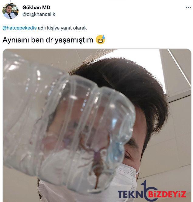 akrep sokan hastasinin akrebi yaninda getirmesini gulerek twitterda paylasan doktora reaksiyon yagdi 7 TDeY1MMd