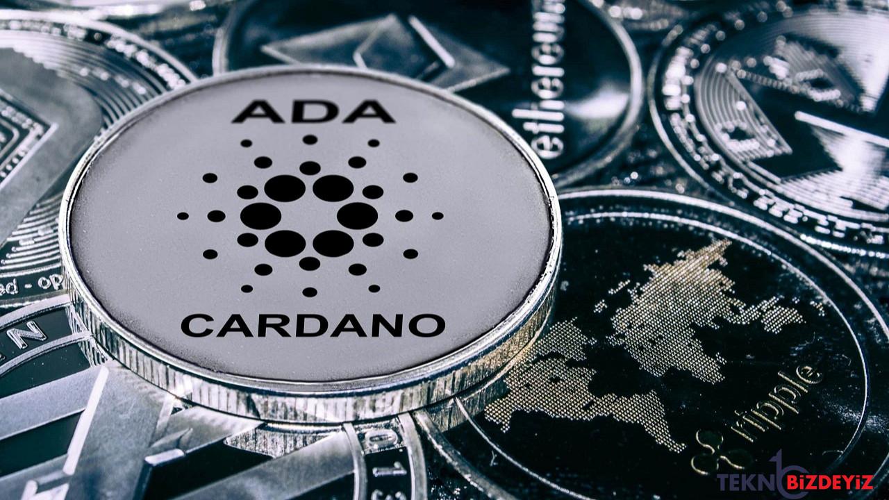 aktif cardano ada havuzlarinin sayisinda hareketlilik yasaniyor neden