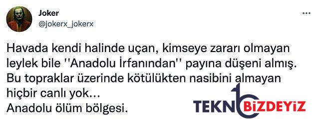 bugun de insanligimizdan utandik goc yolundaki leylekler afyonkarahisarda silahla vuruldu 14 pTt467ZA