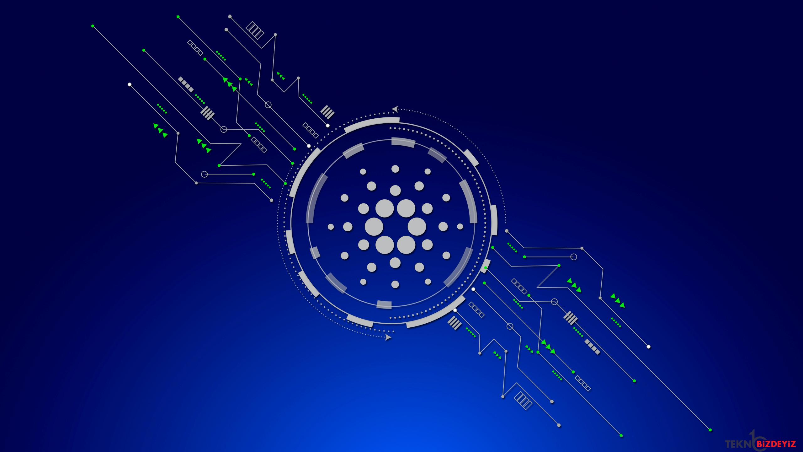 cardano gelistiricileri vasil hard forku erteledi aUzyG7TN