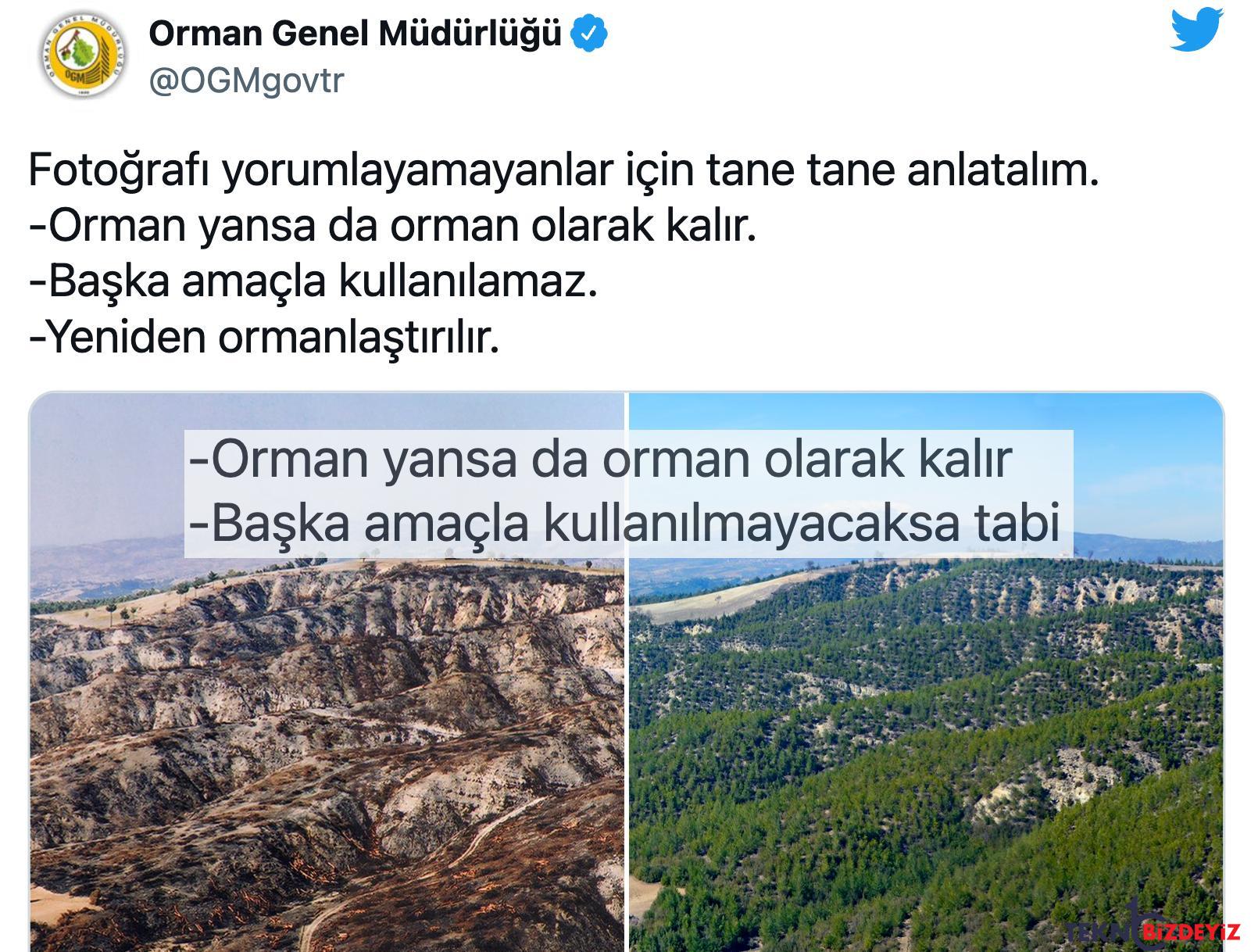 orman genel mudurlugu orman yansa da orman olarak kalir dedi toplumsal medya sordu emin misiniz lFjtSRIn