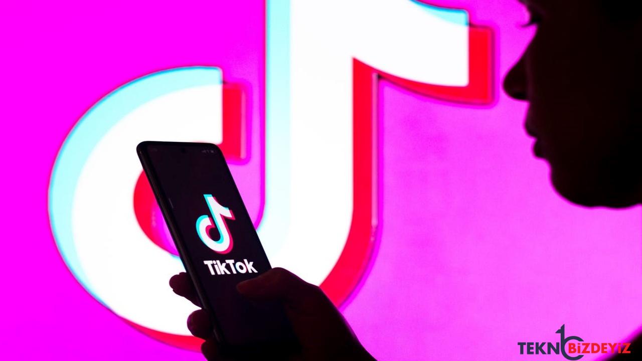 tiktok toplumsal medyayi daha az kullanmanizi istiyor