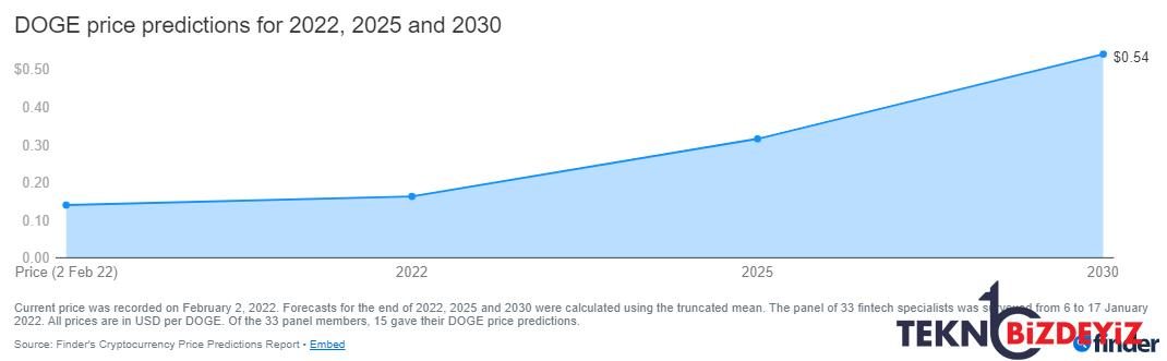 doge aralik 2022ye kadar 1 dolar mi olacak 1