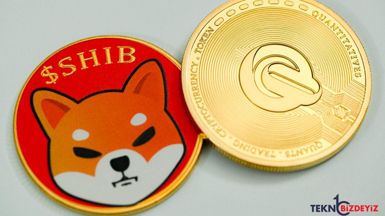 ethereum balinalari shiba inuda shib israrci jAFkeGWJ