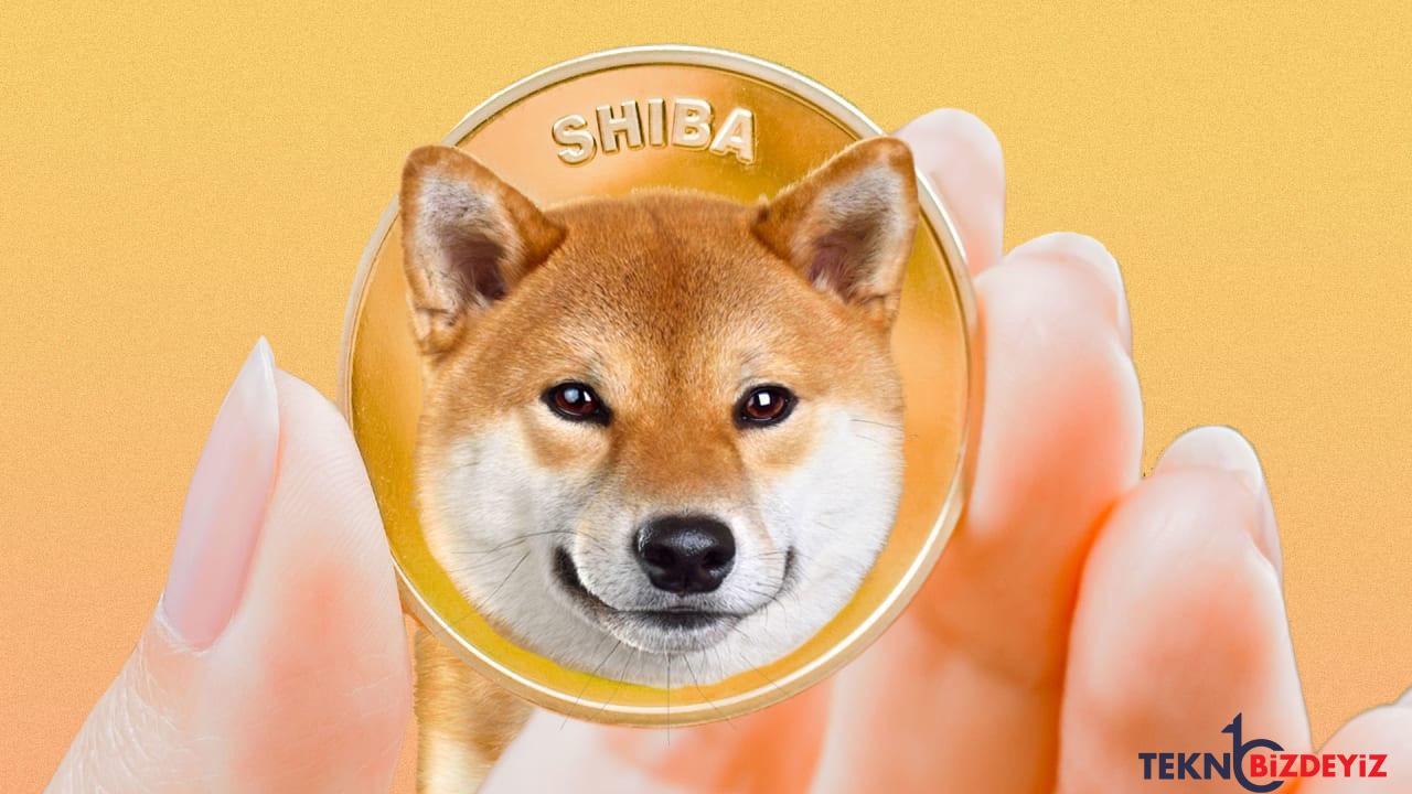 shiba inu shib ayda 20000 hesap ekledi ephLvkw9