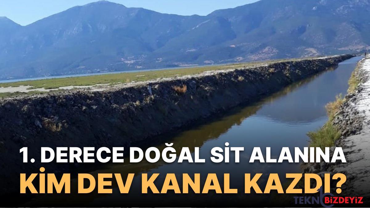 ulusal parkta 1 derece dogal sit alanina kim dev kanal kazdi gerisindeki milletvekili kim s7DhPl17