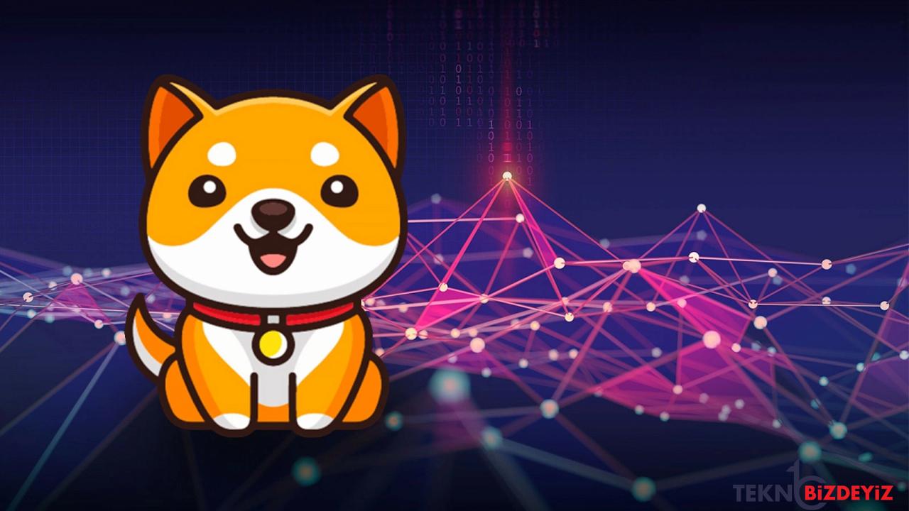 baby doge testnet icin son hazirliklar 5fTmhg9n