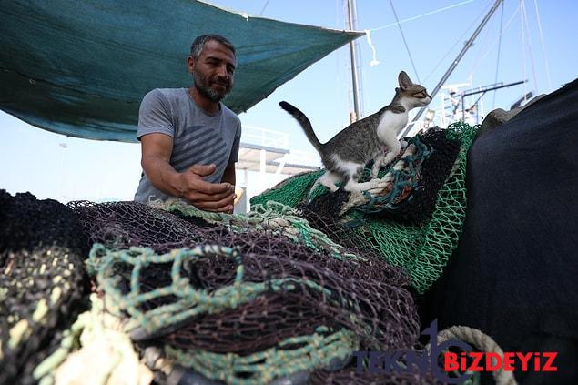 balik donemi aciliyor denizlerde vira bismillah heyecani 1 nyUQvIwJ