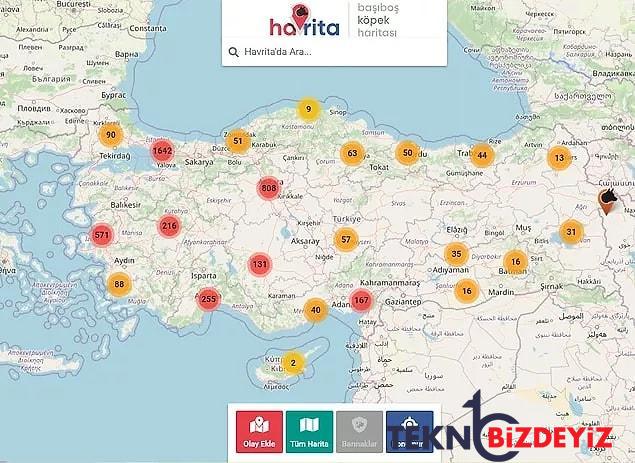 basibos kopek haritasi gundemden dusmuyor havrita uygulamasi nedir ne ise yariyor 1