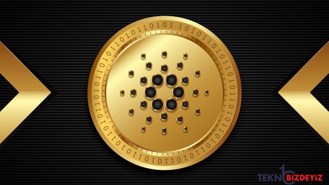 cardano surec sayisi 75 binin uzerine cikti qdYYy5Qn