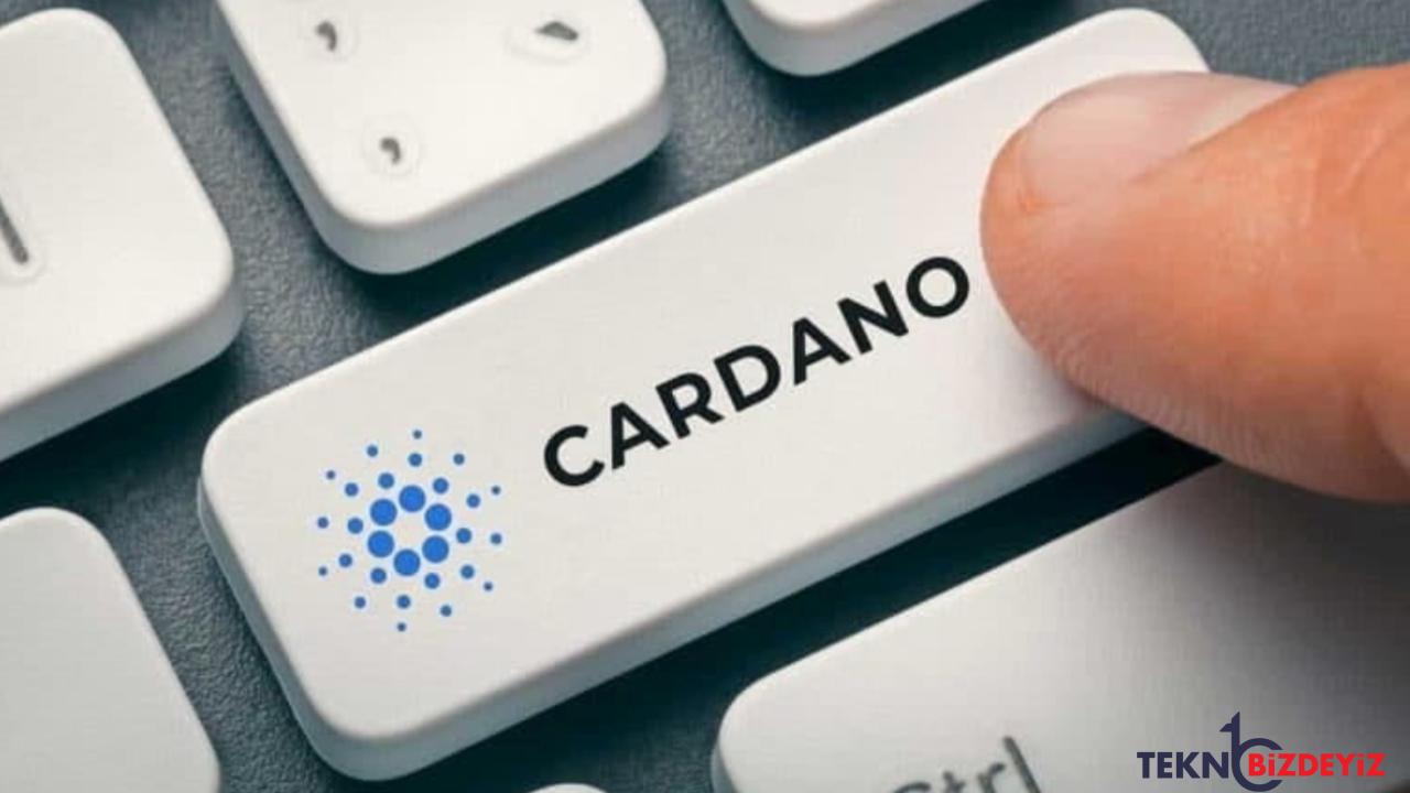 cardano top brand intimacy 2022 raporunda en ust sirada yer aldi 7yeBrvZV