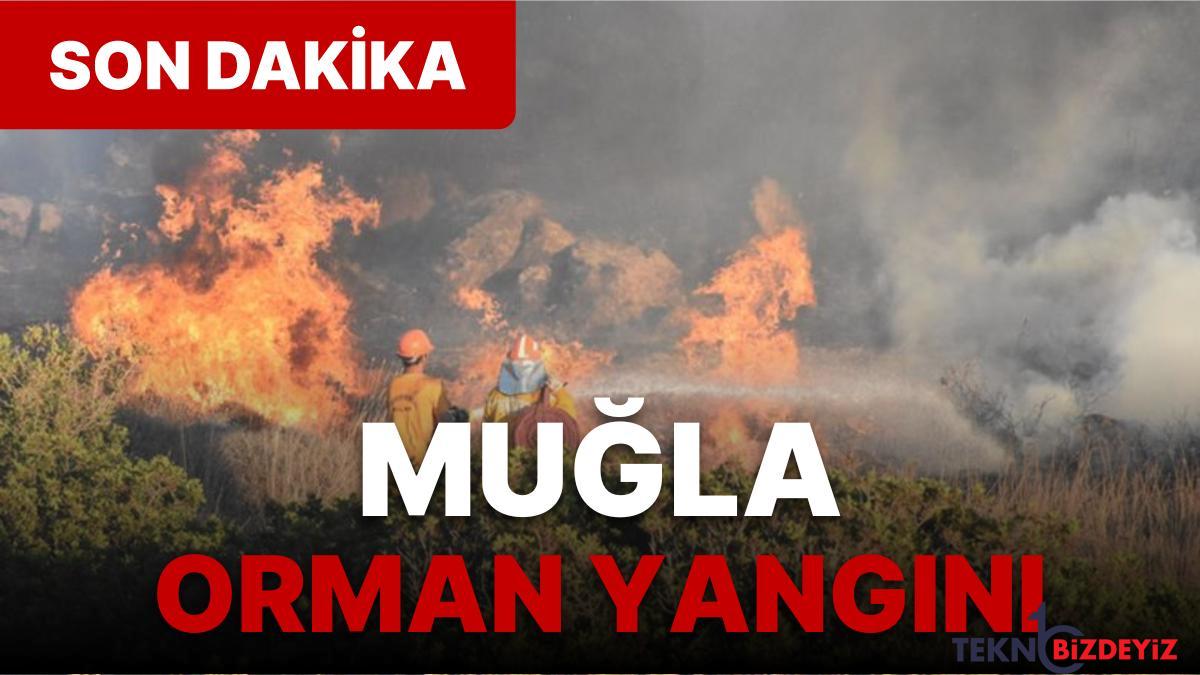 muglada korkutan orman yangini bolgede calismalar suruyor