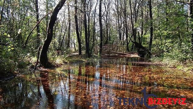 selalesinden antik kentine muglanin kiymetli tatil beldesi marmariste gezilecek yerler 10 MCBmqbQw