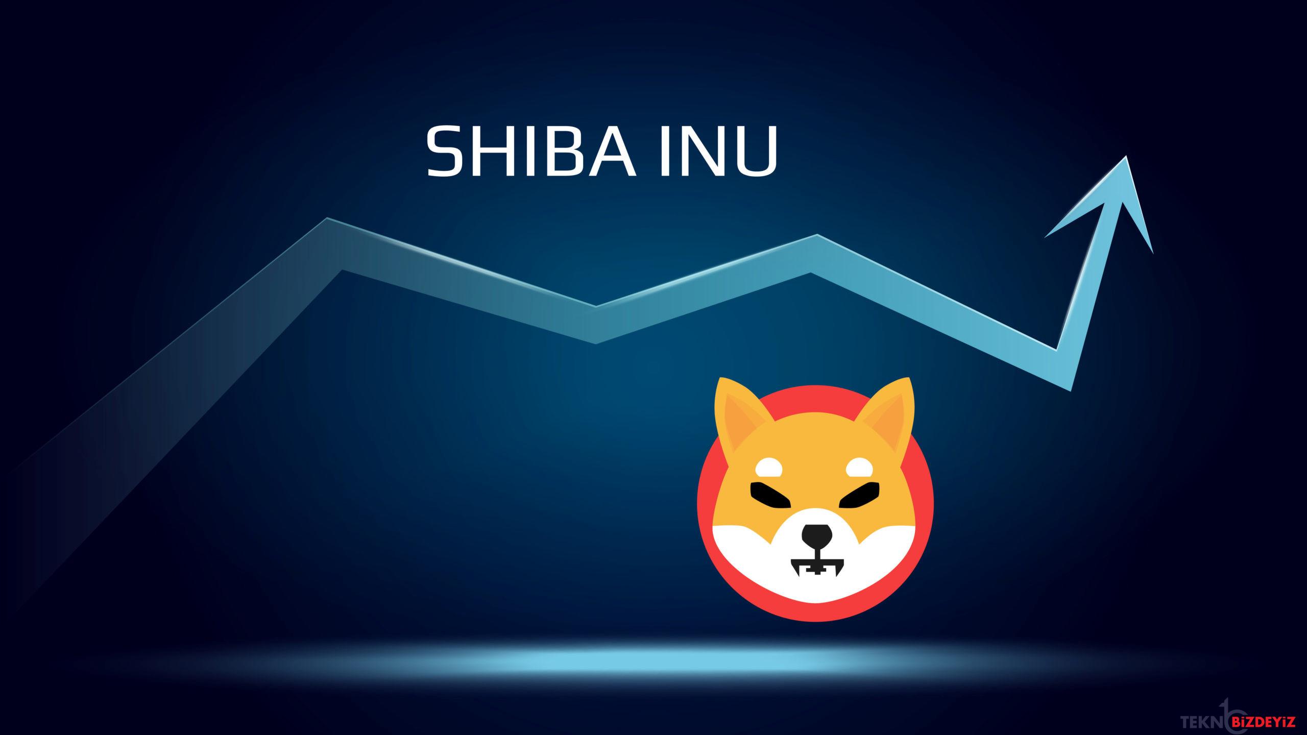 shiba inu yeni sahipleriyle son fiyat rallisini surdurecek mi TQ1dqaq6