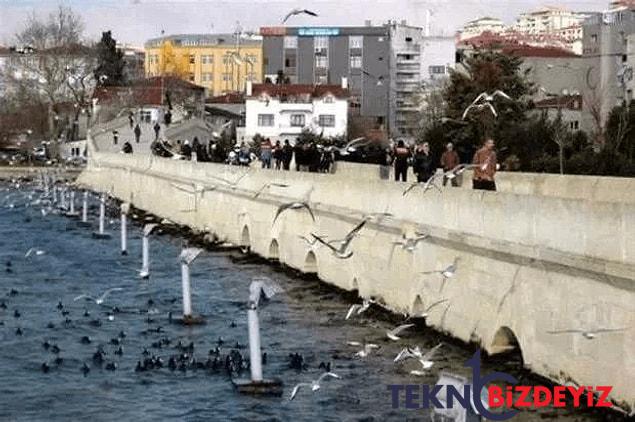 tuik acikladi istanbulda yasayanlar aslen nereli en cok istanbullu hangi ilcede var 37 UqdBSzCJ