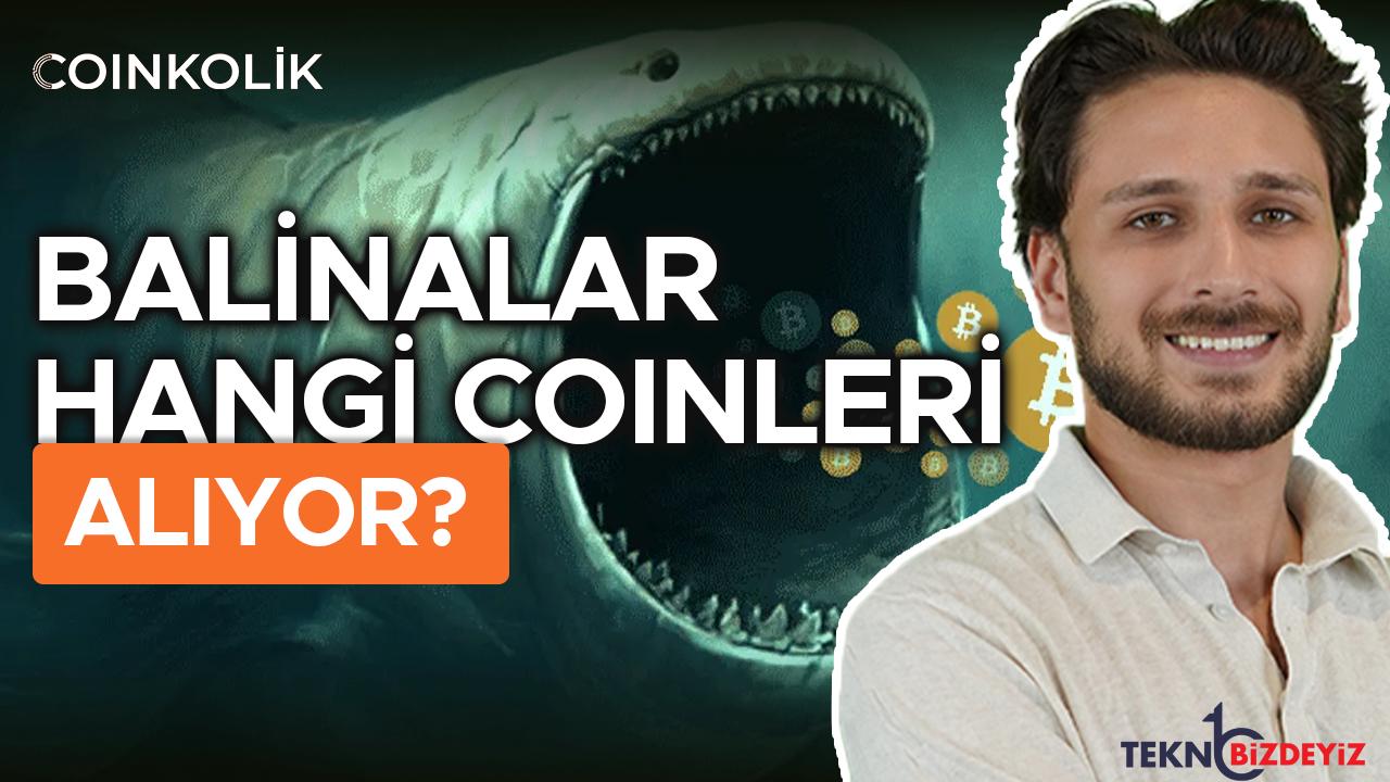 balinalar dususu firsata ceviriyor balinalar nasil bir strateji izliyor PJ1vWTUC