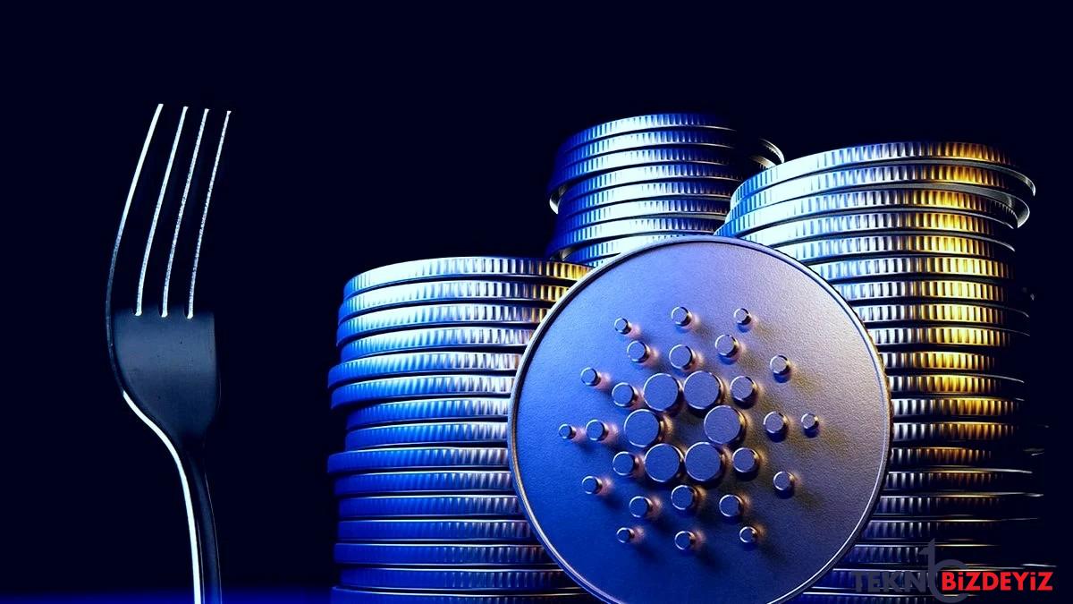 cardano vasil hard fork nedir ne vakit cikacak AR2PbfgD