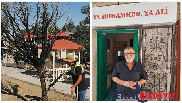 cemevi bahcesindeki dilek agaci yakildi cumhurbaskani erdogan ziyaret etmisti 1 76G33BXE