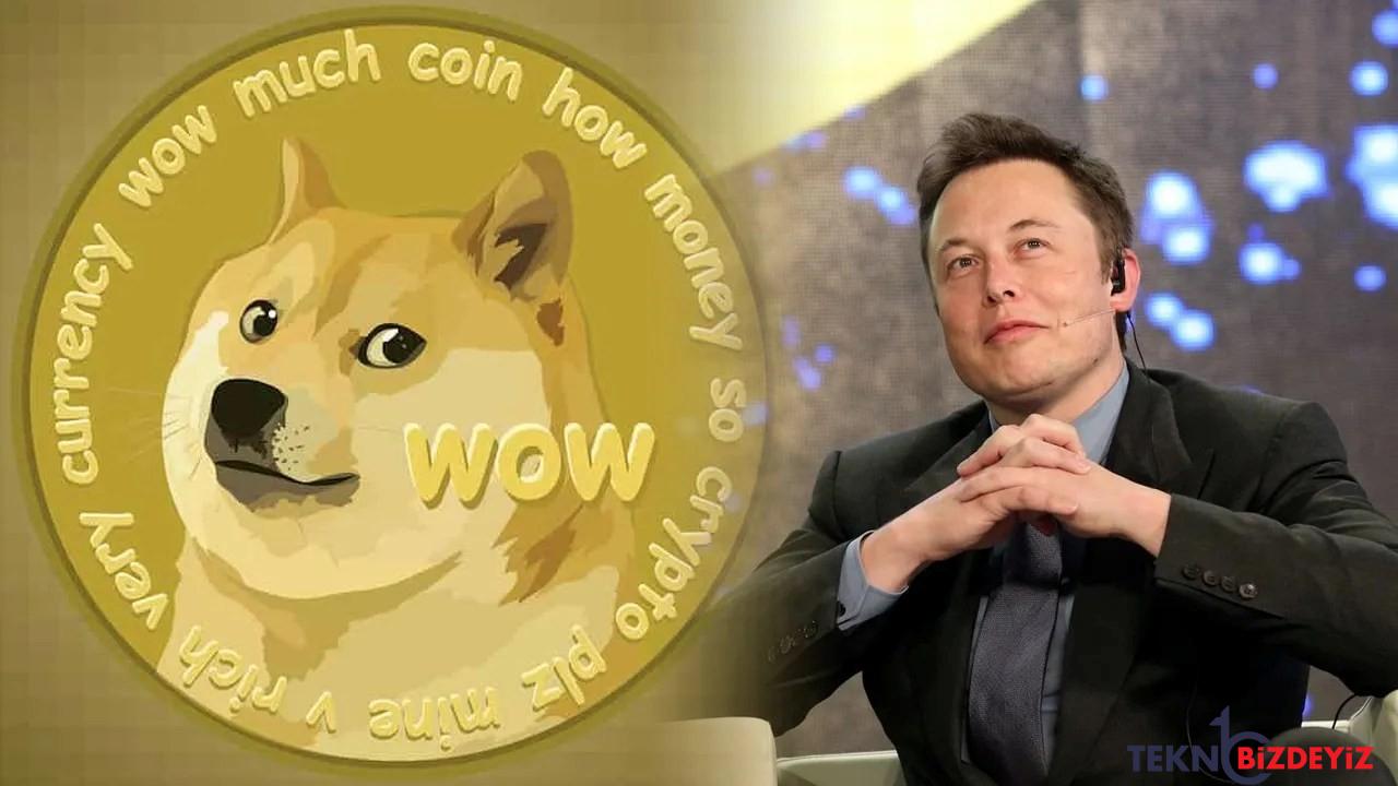 elon muska acilan dogecoin davasina yeni isimler katildi 3CvWLT1t