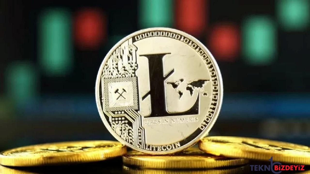 litecoin sahiplerinin 14u ethereum sahiplerinin 51 karda jEI5pNaS