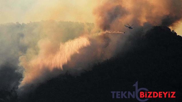 mugla gokovadaki orman yangini denetim altina alindi 0