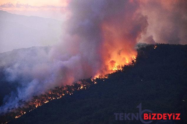 mugla gokovadaki orman yangini denetim altina alindi 1 cW5Bnj9O