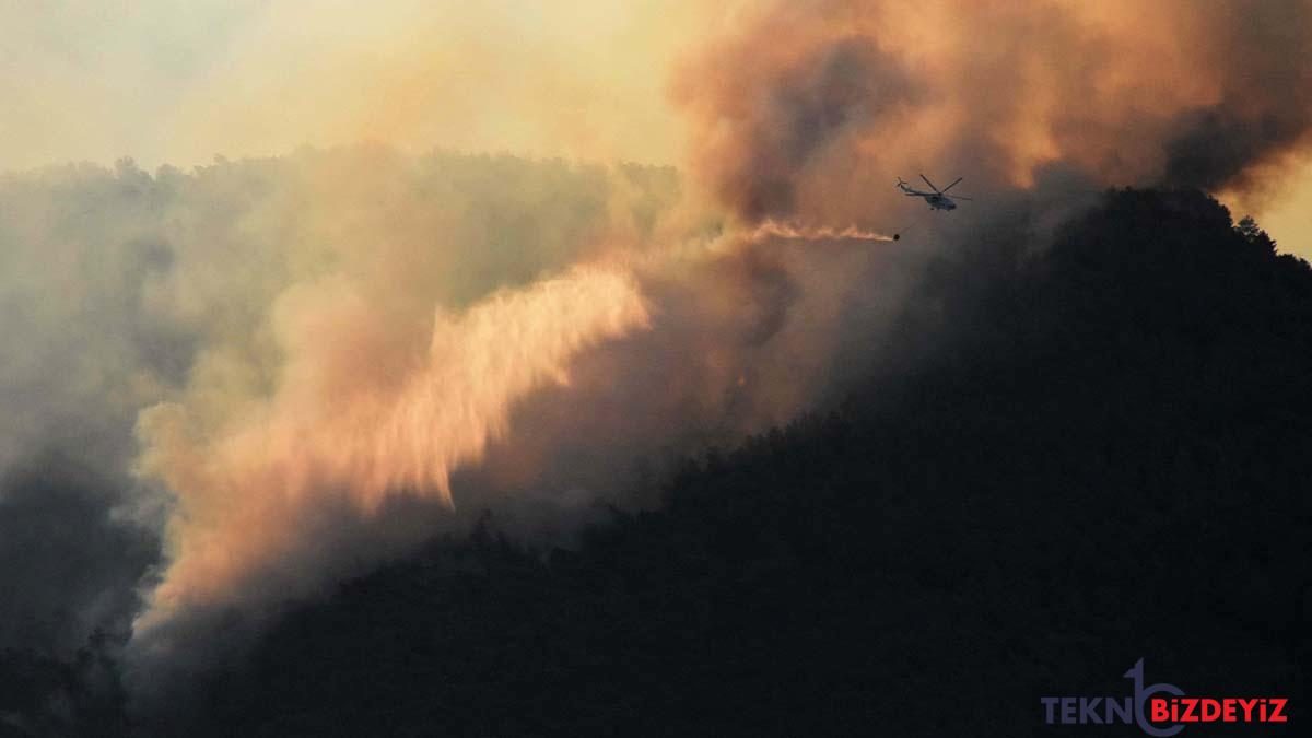 mugla gokovadaki orman yangini denetim altina alindi sMazCckR