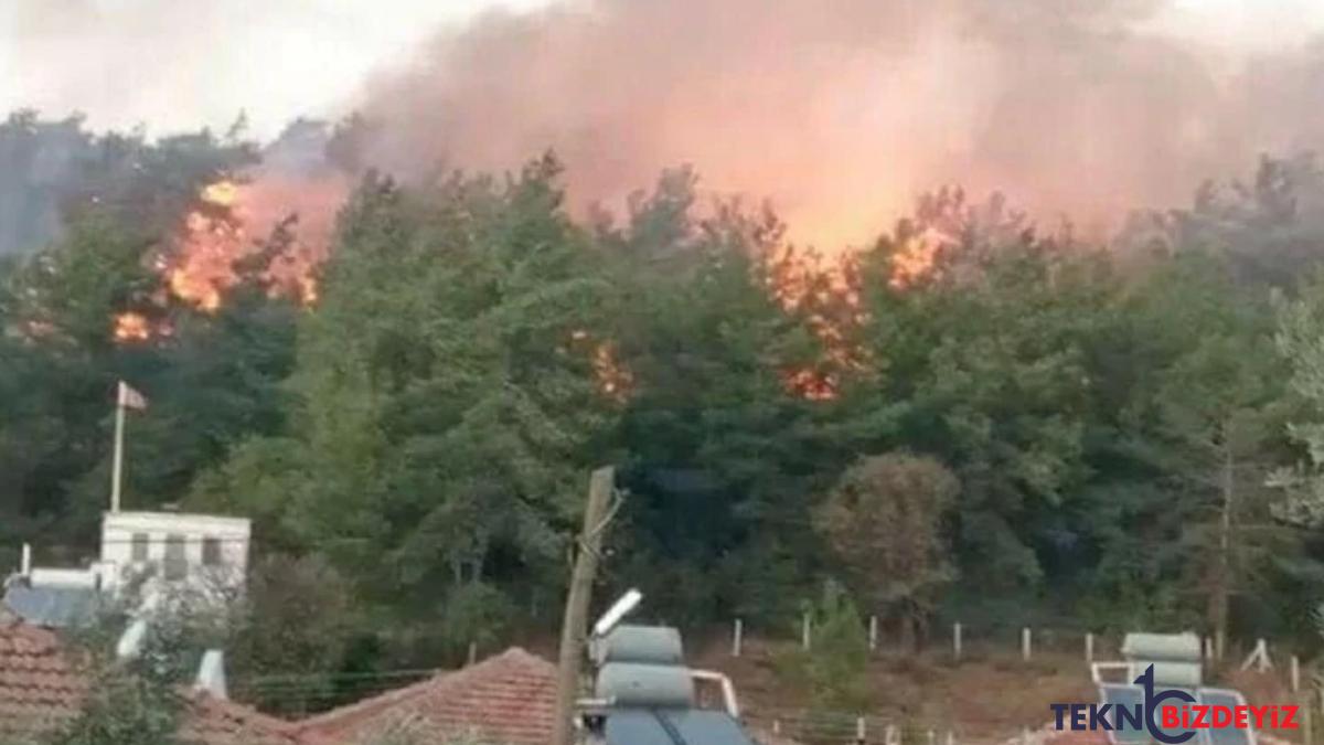 mugla orman yanginina bir gozalti izmaritten cikmis kendini de yakmis YT32EIO2