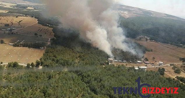 son dakika izmir focada herkesi alarma geciren orman yangini 1 vI43XhDX