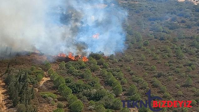 son dakika izmir focada herkesi alarma geciren orman yangini 2 ZB6t7wHi