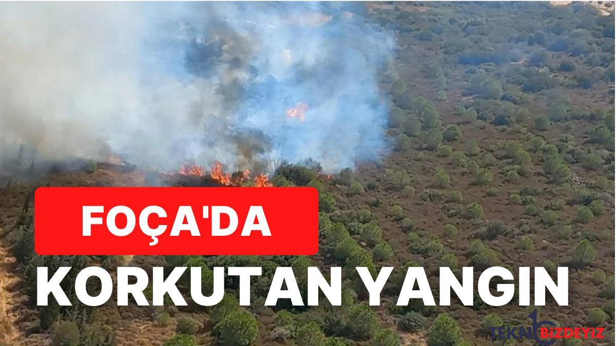 son dakika izmir focada herkesi alarma geciren orman yangini qJzkTysU