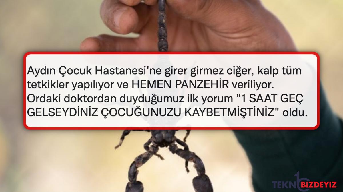 akrep sokan cocugunu hastaneye goturen ailenin yasadigi skandal magduriyet kaninizi donduracak YVMJtZwU