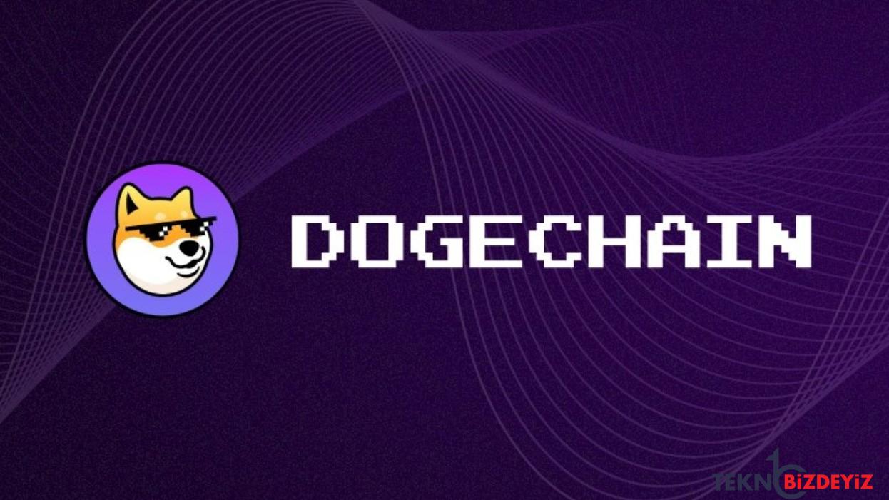 dogechain nedir eCvjXe93