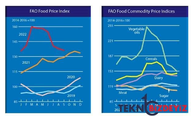 dunyada besin fiyatlari 6 aydir gerilerken turkiye besin enflasyonuna liderlik ediyor 1 nWEbRtTT