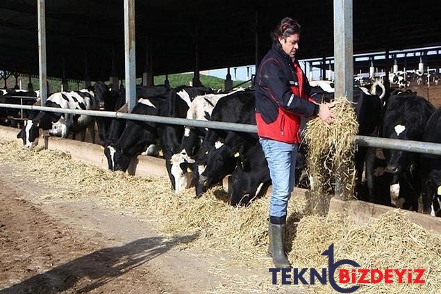 inekten aldigimiz sut yakinda nereden gelecek sut piyasasinda karisiklik isler bozuldu ipler koptu 16 ZIAzmWC1