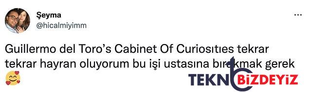 izlemeye paha mi guillermo del toronun cabinet of curiosities isimli endise dizisine gelen birinci yorumlar 7 4XSTD1dD