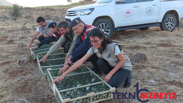 latife kusunu kaciran supheliye rekor para cezasi 1 ZO7k36B7