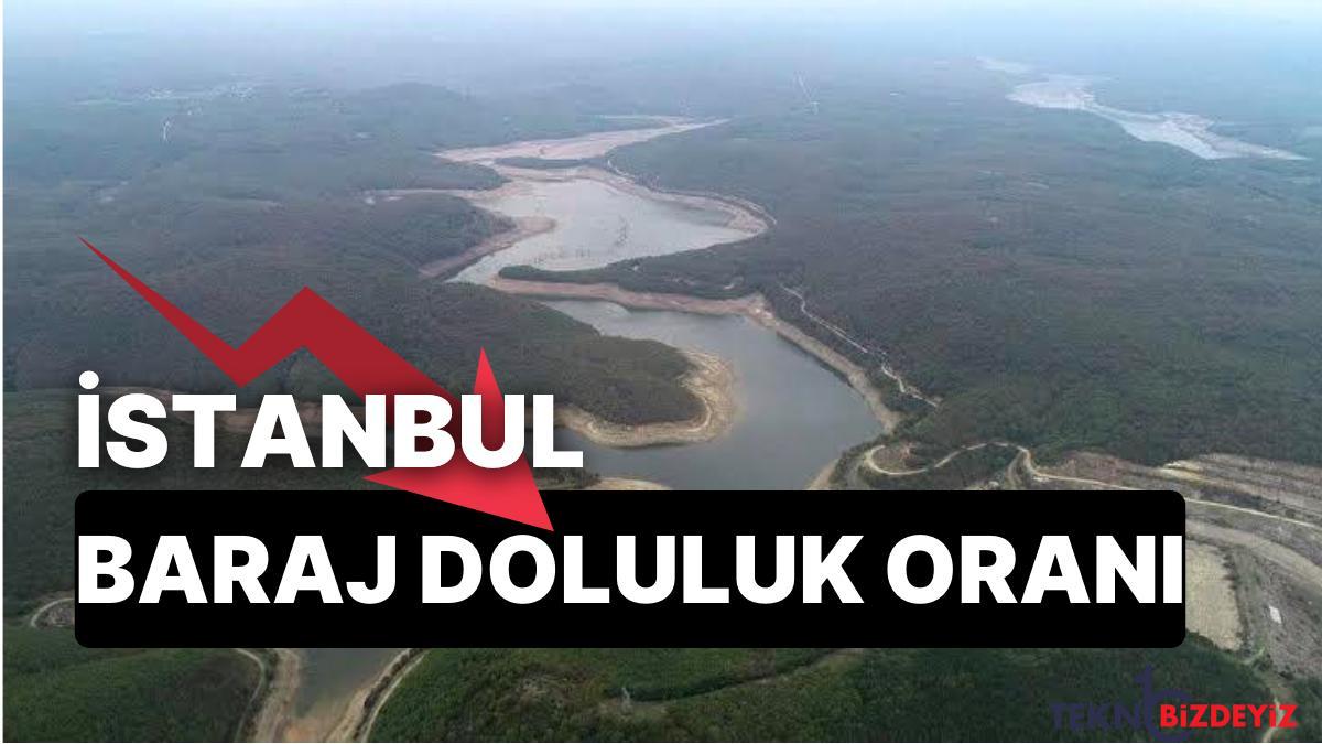 22 kasim sali istanbul baraj doluluk oranlarinda son durum istanbulda barajlar yuzde kac dolu Jzjce7Gi