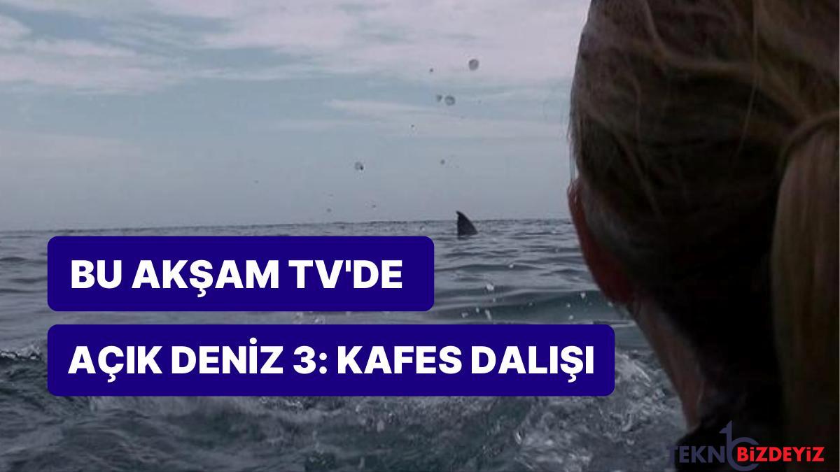 acik deniz 3 kafes dalisi sinemasinin konusu nedir acik deniz 3 kafes dalisi sinemasi hangi kanalda UctIEeCs