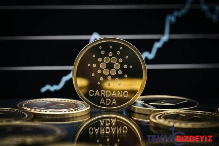 cardano vakfi 2023 icin ada planlarini ozetliyor iste onemli notlar 0 vzj5HVBk