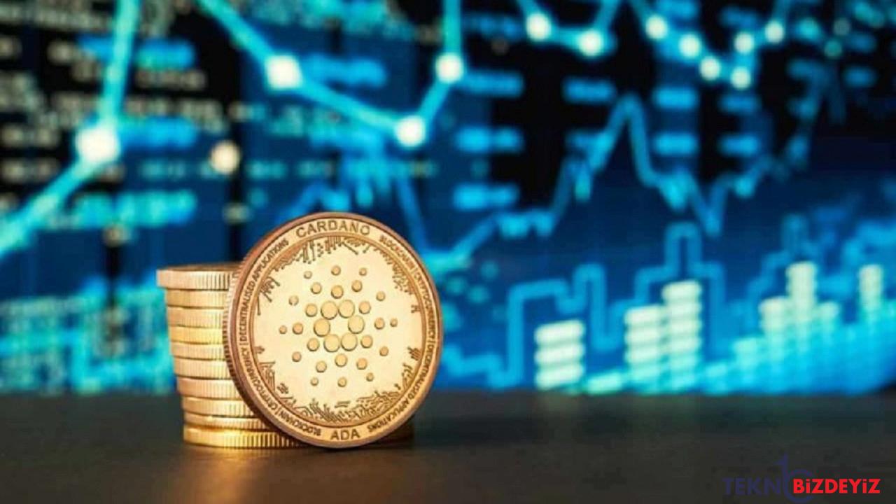 cardano zorlu piyasaya ragmen haftada 30000 yeni adres ekleyerek buyuyor