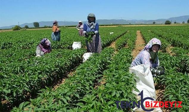 haftaya baslarken piyasa bilgileri zira girdi yurt disi ufe ve yabanci ziyaretci sayilari takip edilecek 1 2rUjOZLD